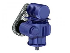 W型圓弧齒蝸桿攪拌減速機